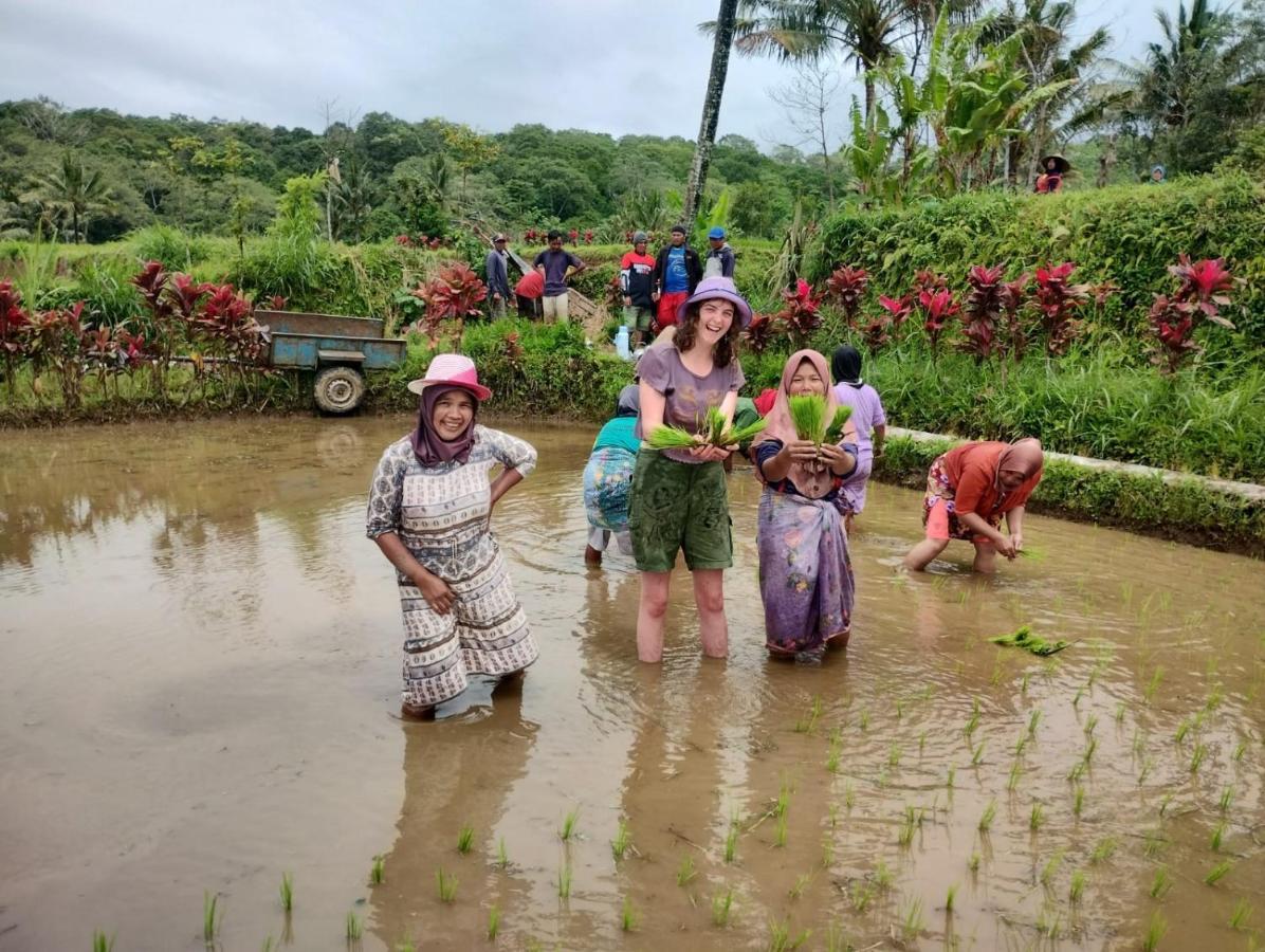 Girang Rinjani Bungalows Tetebatu Bagian luar foto