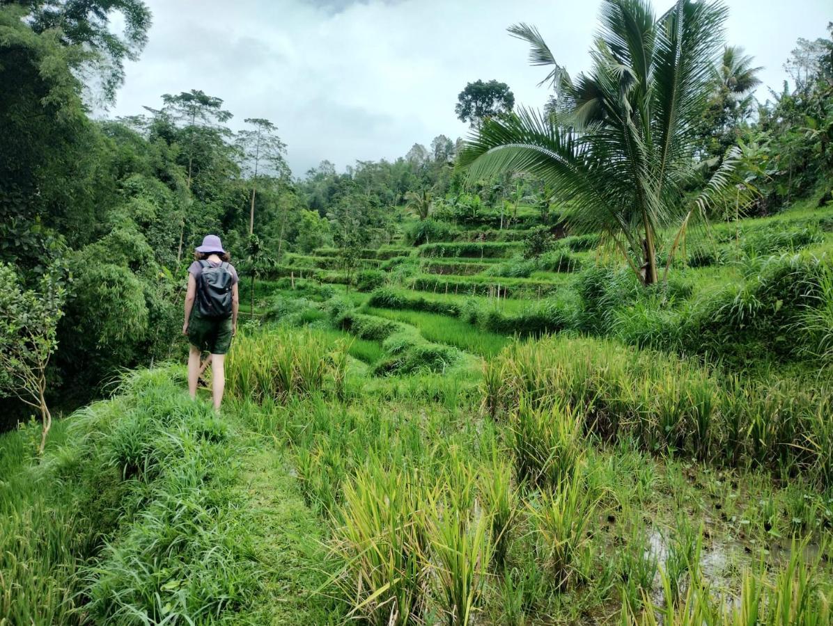 Girang Rinjani Bungalows Tetebatu Bagian luar foto