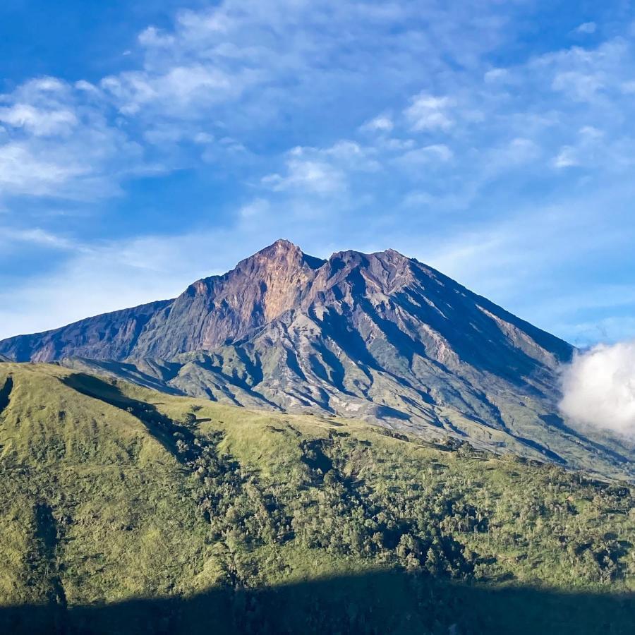 Girang Rinjani Bungalows Tetebatu Bagian luar foto