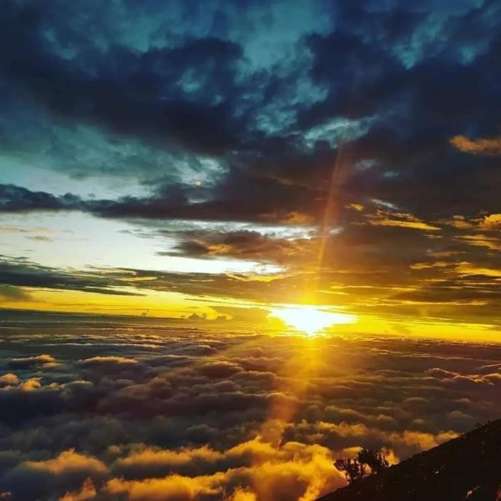Girang Rinjani Bungalows Tetebatu Bagian luar foto