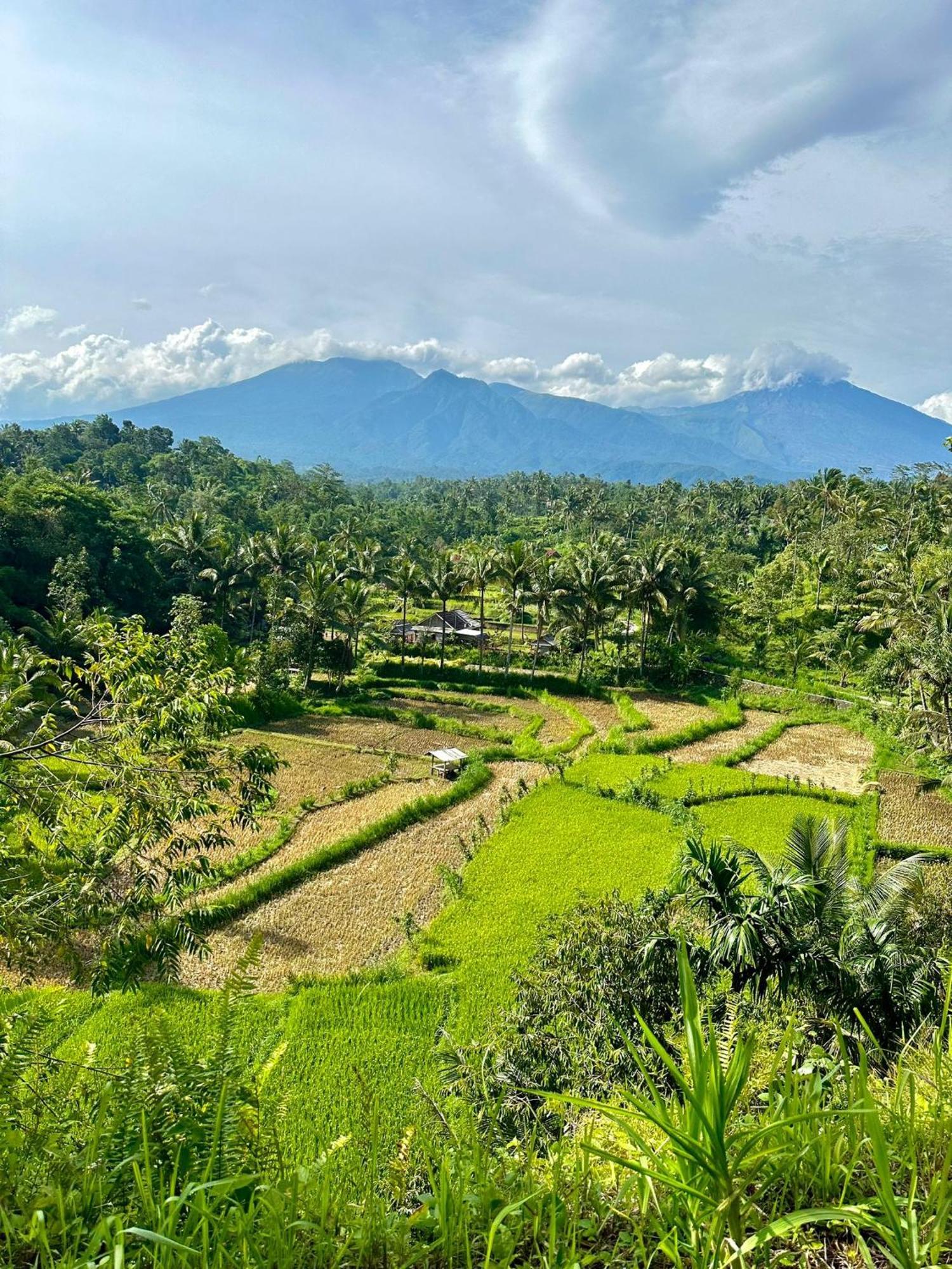 Girang Rinjani Bungalows Tetebatu Bagian luar foto