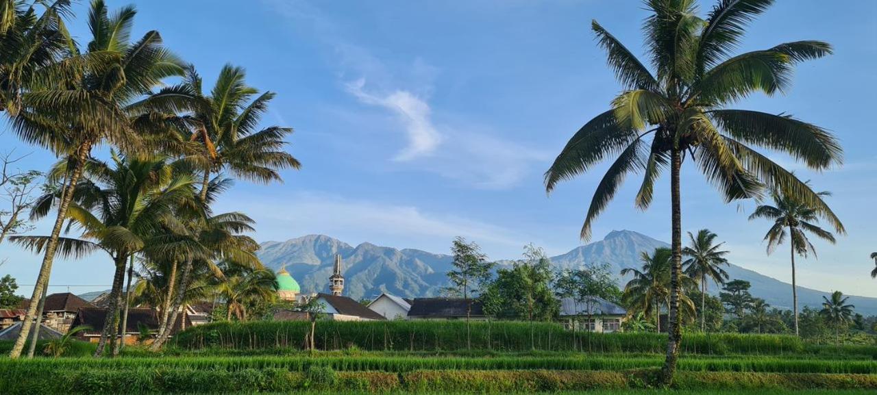 Girang Rinjani Bungalows Tetebatu Bagian luar foto