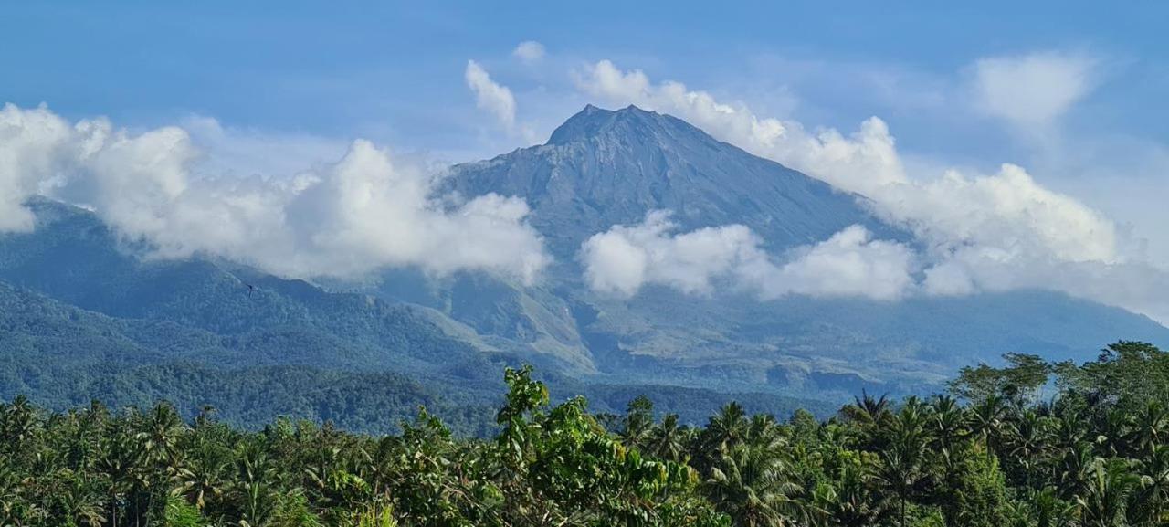 Girang Rinjani Bungalows Tetebatu Bagian luar foto