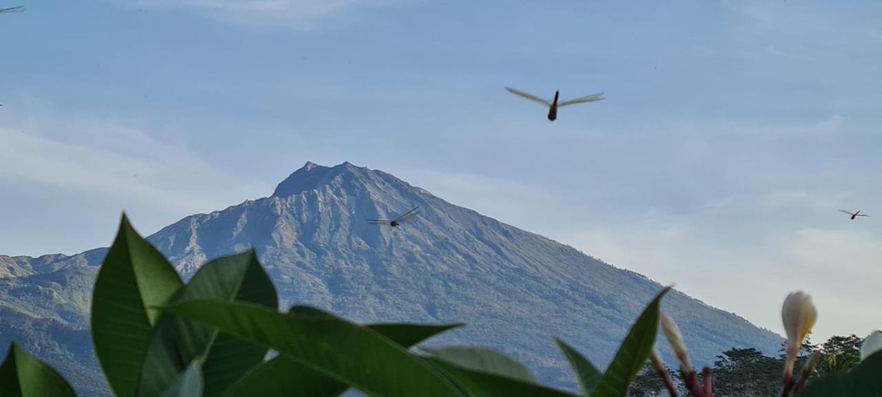 Girang Rinjani Bungalows Tetebatu Bagian luar foto