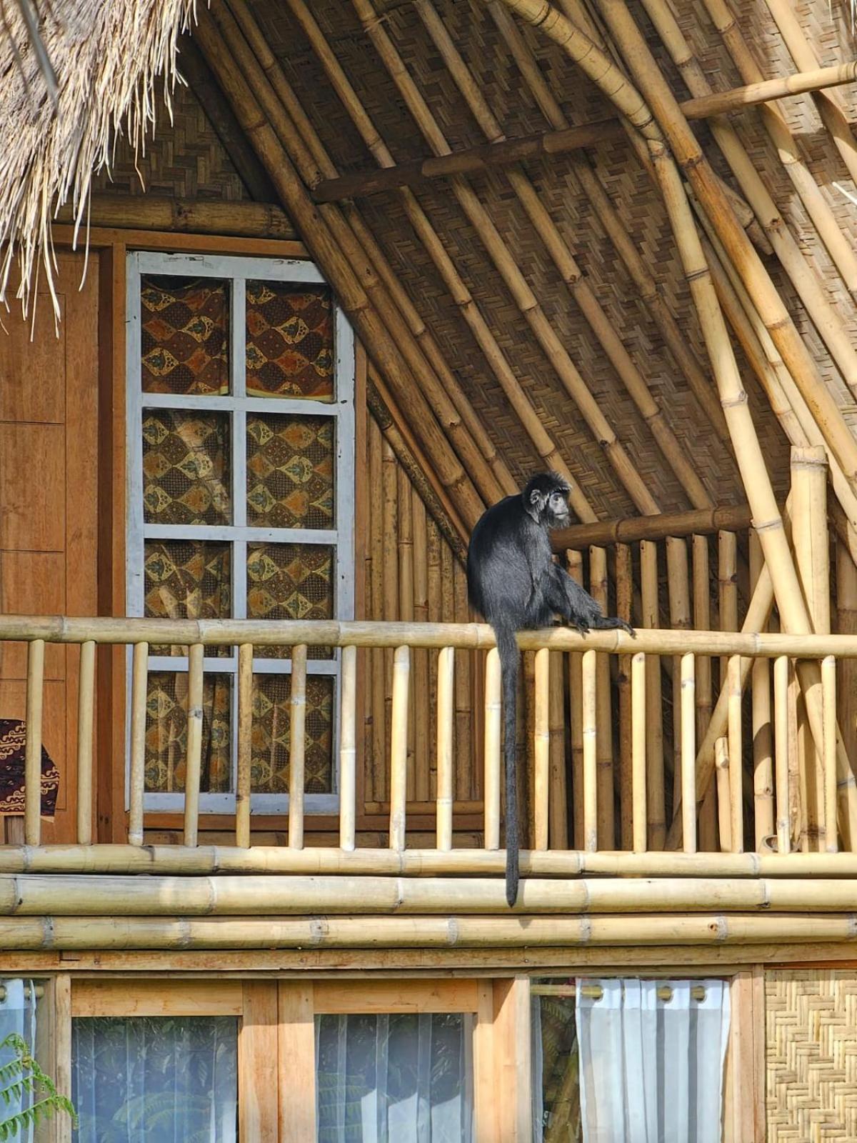 Girang Rinjani Bungalows Tetebatu Bagian luar foto